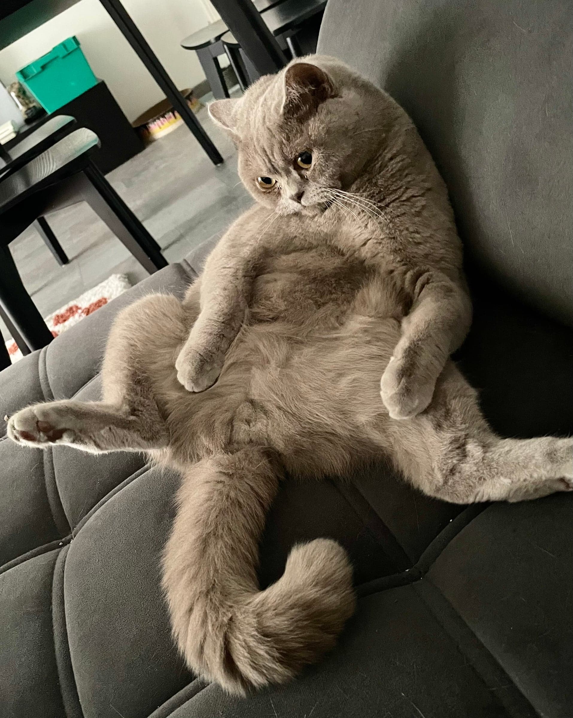 Sleepy G.